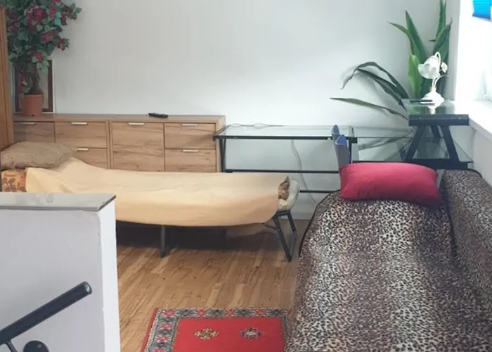 아파트 Cozy Leopoldstrasse -3,5 With Sauna And Garden