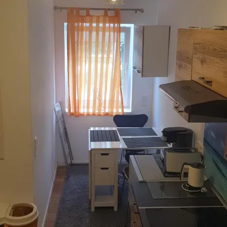 Cozy Leopoldstrasse -3,5 With Sauna And Garden Apartment *