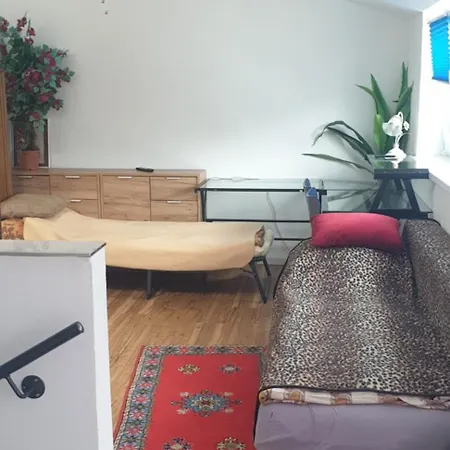 Appartement Cozy Leopoldstrasse -3,5 With Sauna And Garden