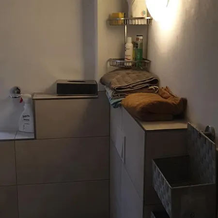 Apartment Cozy Leopoldstrasse -3,5 With Sauna And Garden